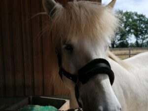 IMG_20240620_113204