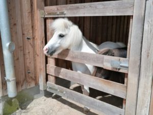 IMG_20240620_113245